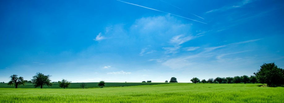 Anders And Cover Image