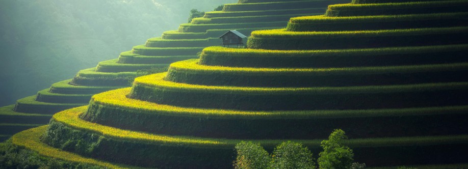 SusanneMikkelsen Cover Image